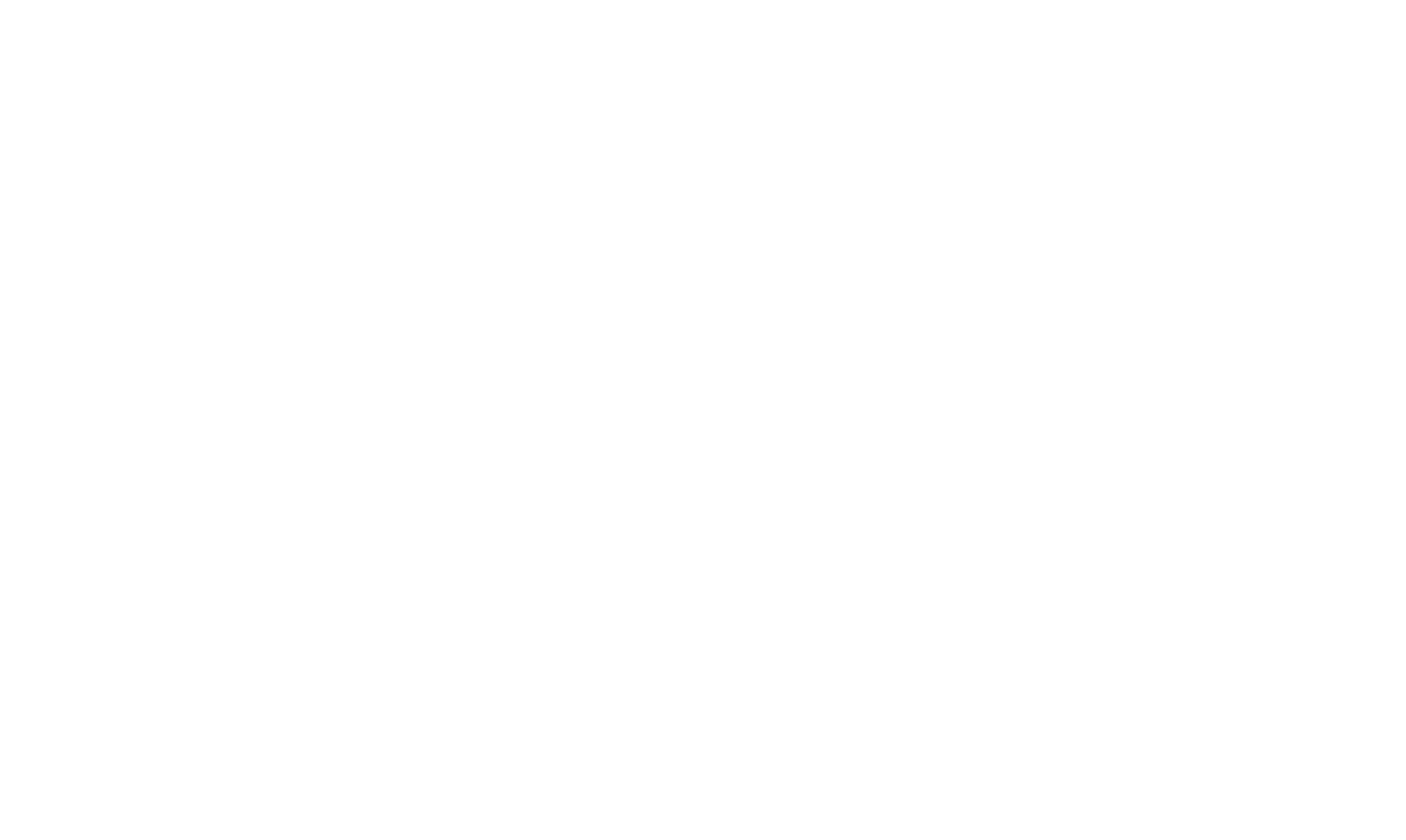 BIZ Ascend